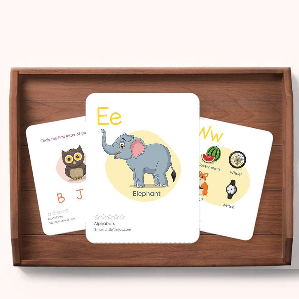 Nature Flash Cards Pack  [45 Cards]