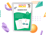 Numerics Flashcards Pack [48 Cards]